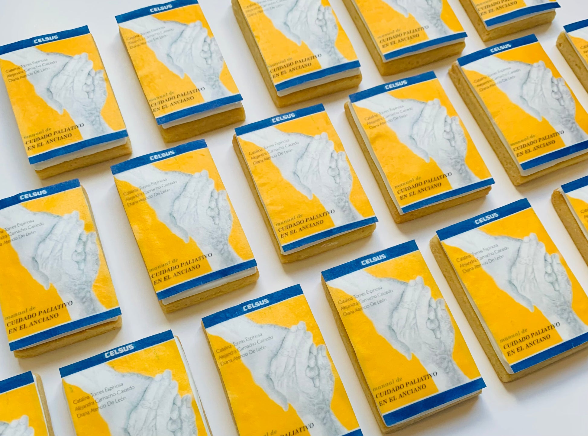 Mini Libros 📖